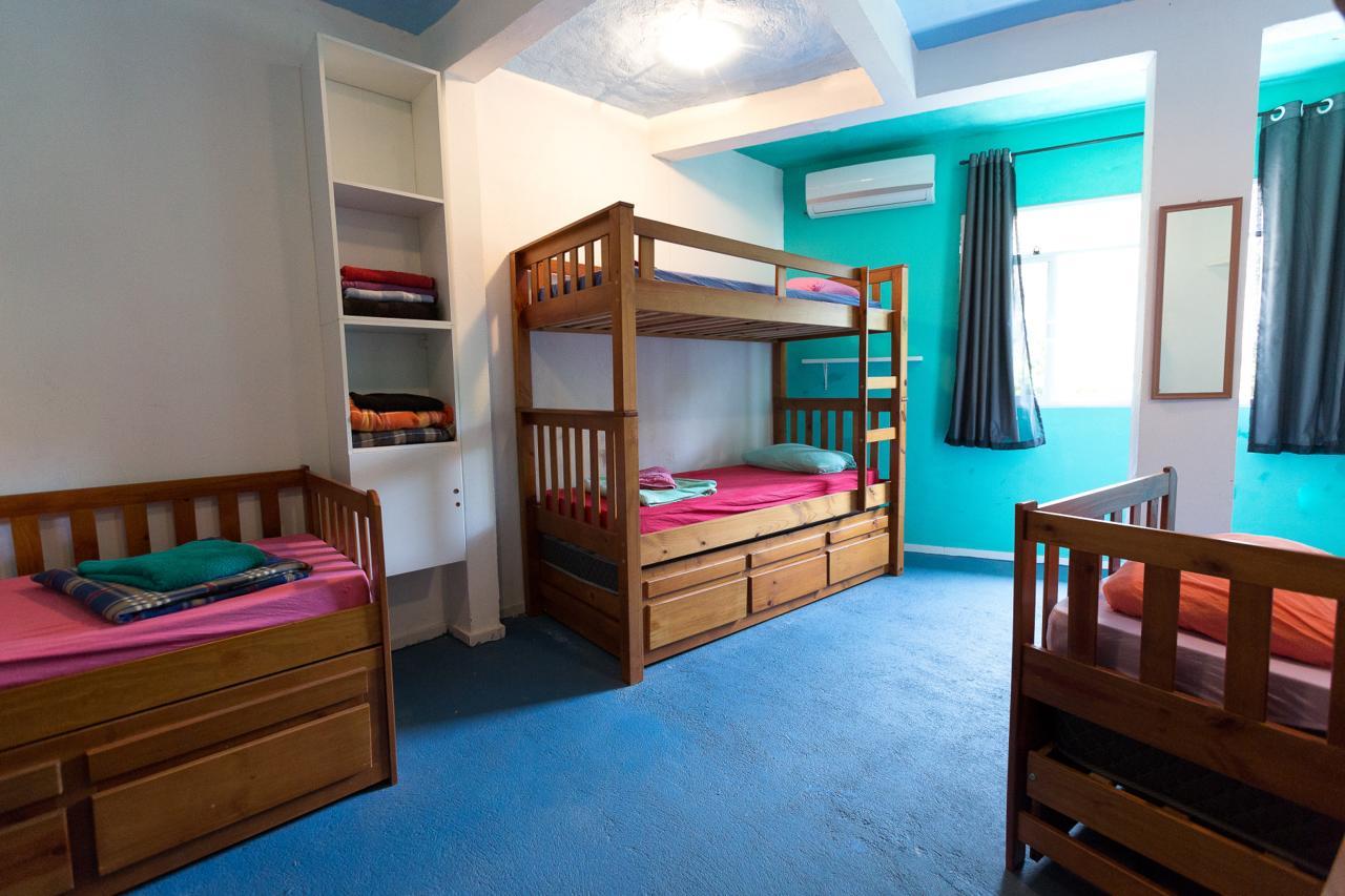 Natural Do Rio Guesthouse リオデジャネイロ エクステリア 写真